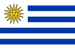 Imagen de Bandera común grande, URUGUAY