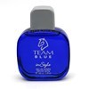 Imagen de Perfume 100ml "In Style" TEAM BLUE