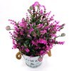 Imagen de Planta con flores, maceta de metal, varios colores