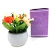 Imagen de Planta con flores maceta lisa, en caja, varios colores
