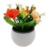 Imagen de Planta con flores maceta lisa, en caja, varios colores