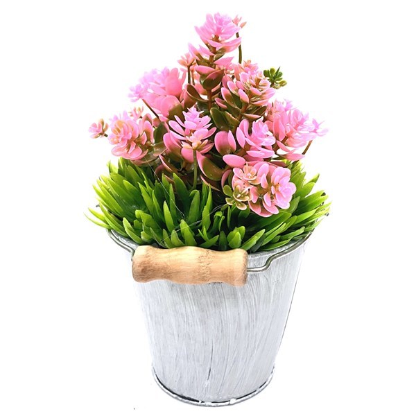 Imagen de Planta con flores, maceta de metal, varios colores