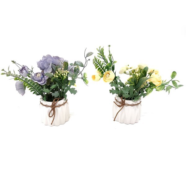 Imagen de Planta con flores hortensias y marimoñas, varios colores