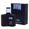 Imagen de Perfume 100ml "In Style" DIVINE