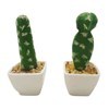 Imagen de Planta cactus suculenta en maceta, varios modelos