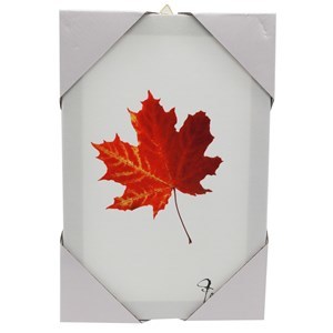 Imagen de Cuadro de PVC, rectangular, varios diseños de hojas