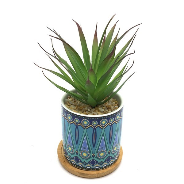 Imagen de Planta cactus suculenta en maceta con plato de bambú, varios diseños