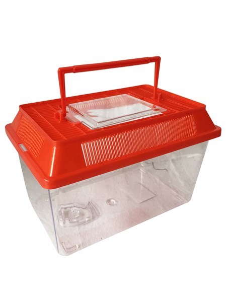 S.A.. Caja organizadora de plástico multiuso, ideal para guardar pequeñas cosas, para sorpresitas, transporte de mascotas