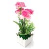 Imagen de Planta con 5 flores de claveles, maceta de plástico, varios colores