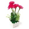 Imagen de Planta con 5 flores de claveles, maceta de plástico, varios colores