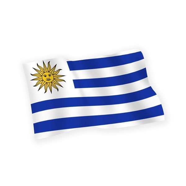 Imagen de Bandera común 60x90cm, URUGUAY