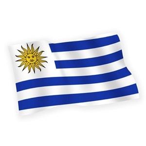Imagen de Bandera común grande, URUGUAY