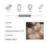 Imagen de Luces led x10, guía de 10 bolas luces blancas, a pila, 2AA, en bolsa
