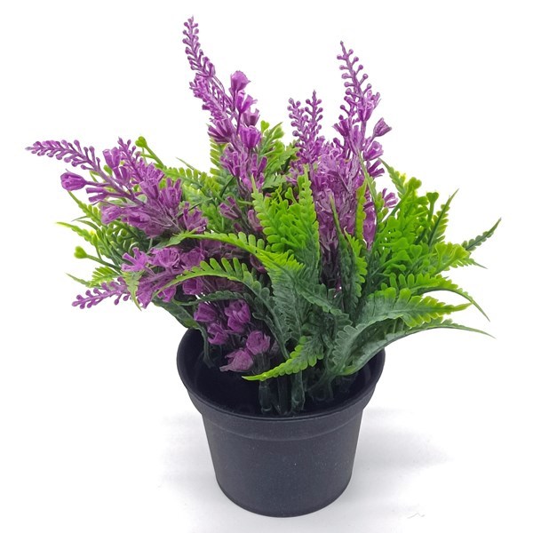 Imagen de Planta con flores lavandas, maceta de plástico