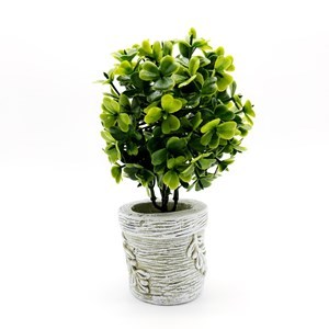 Imagen de Plantas hojas de trébol, con maceta de resina