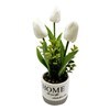 Imagen de Planta con 3 flores de tulipanes maceta de cerámica, en caja