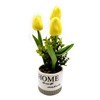 Imagen de Planta con 3 flores de tulipanes maceta de cerámica, en caja