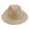 Imagen de Sombrero para adulto, 2 colores