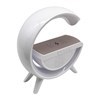 Imagen de Parlante bluetooth radio FM, con cargador inalámbrico para celular, en caja