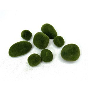 Imagen de Piedra con musgo artificial x8, en bolsa