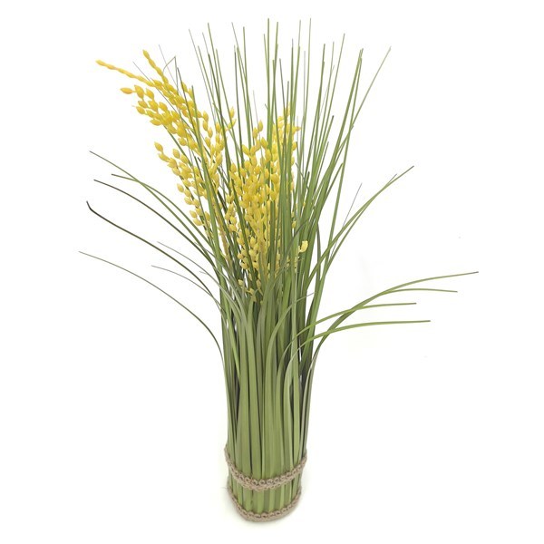 Imagen de Planta alta espiga de arroz, varios colores