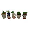 Imagen de Planta cactus suculenta, varios diseños