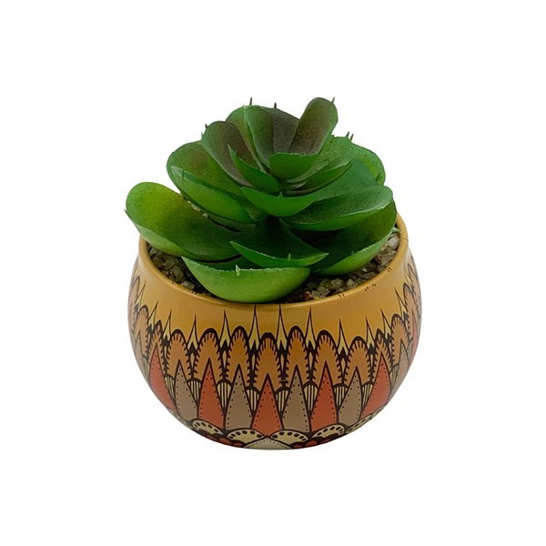 Imagen de Planta cactus suculenta, varios diseños