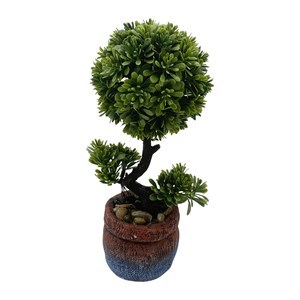 Imagen de Planta bonsai, en maceta de cemento