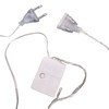 Imagen de Luces led x100 blancas intermitentes 220V 10 metros en caja
