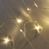 Imagen de Luces led x100 blancas intermitentes 220V 10 metros en caja