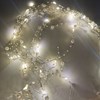 Imagen de Luces led x160 cálidas cortina con perlitas 3x2 metros, en caja