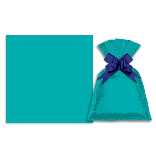 Imagen de Bolsa de regalo metalizado símil velvet mediana PACKx50