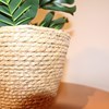 Imagen de Canasto porta maceta, chico, de fibras naturales, junco de agua