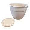 Imagen de Maceta de plástico con plato anti dengue 7,3L, BEIGE