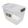 Imagen de Caja organizadora de plástico con tapa 12L, transparente