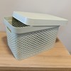 Imagen de Caja organizadora de plástico con tapa calada 17L, VERDE