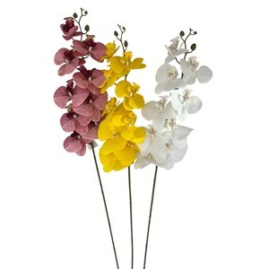 Imagen de Ramo orquídea, 9 flores, varios colores