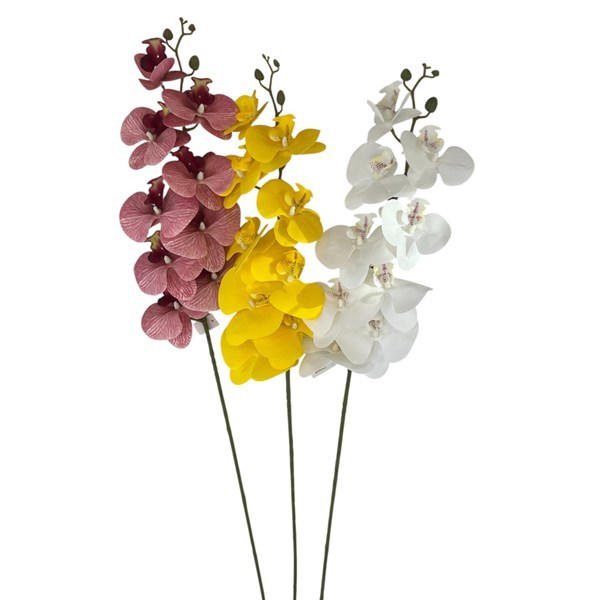Imagen de Ramo orquídea, 9 flores, varios colores