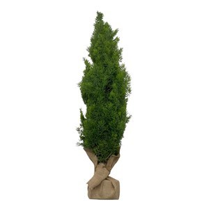 Imagen de Árbol navideño frondoso, 168 ramas 90cm, con base de arpillera
