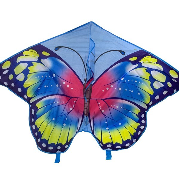 Imagen de Cometa mariposoa con hilo, varios colores