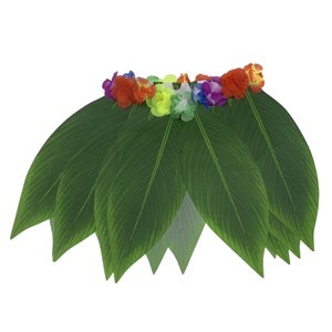 Imagen de Disfraz pollera hojas