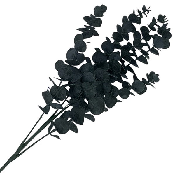 Imagen de Planta de hojas verdes, eucaliptus, PACK x2