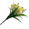 Imagen de Ramo de 6 narcisos, PACKx2