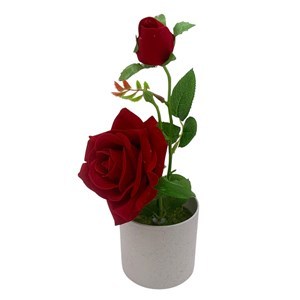 Imagen de Planta con rosas, en maceta de plástico, varios colores