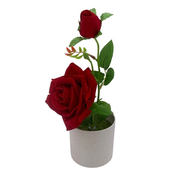 Imagen de Planta con rosas, en maceta de plástico, varios colores