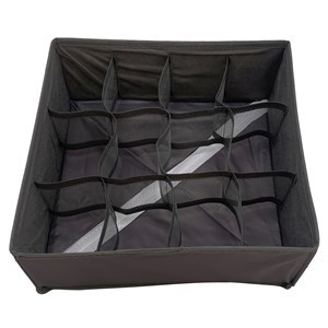 Imagen de Caja organizadora de TNT, 12 divisiones, 2 colores