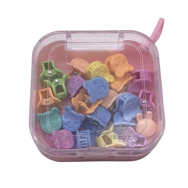 Imagen de Broche para pelo, mini, x24 en estuche de plástico, PACK x12