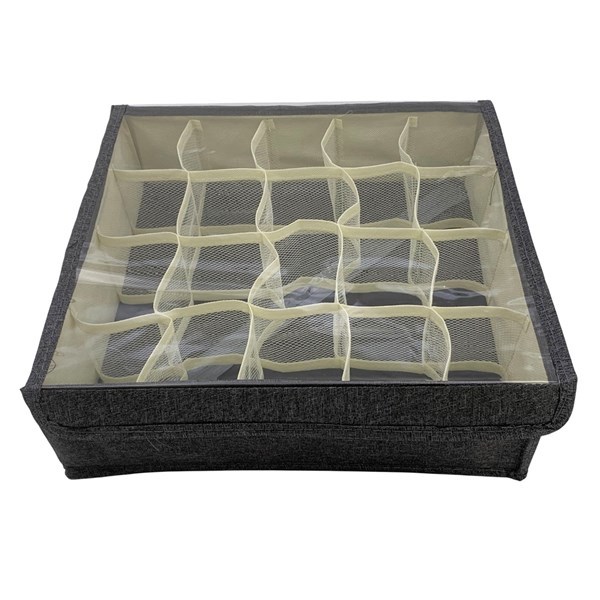 Imagen de Caja organizadora de TNT, 20 divisiones, con visor