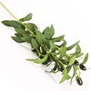 Imagen de Planta de hojas verdes de olivo