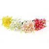 Imagen de Ramo de 20 orquídeas salvajes, varios colores